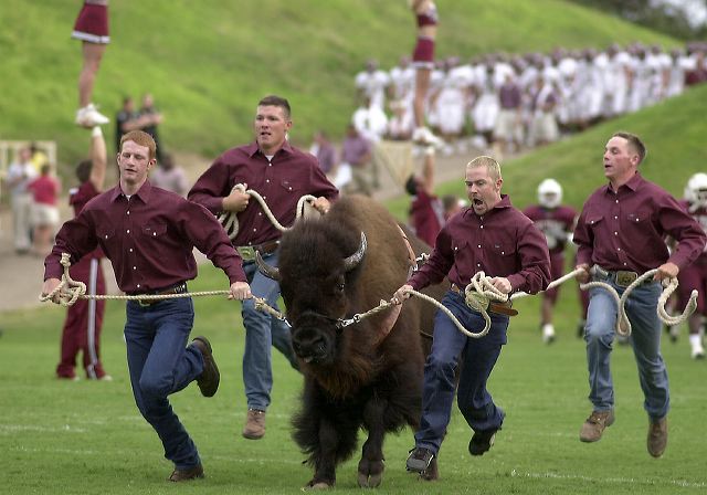 Herdsmen with the Buffalo